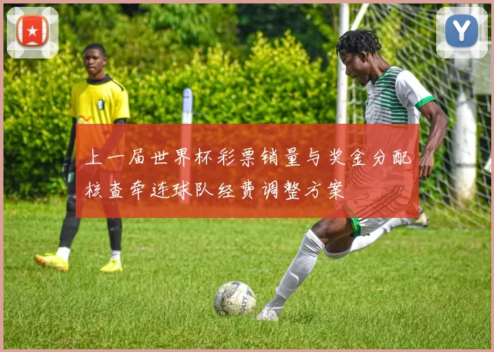 上一届世界杯彩票销量与奖金分配核查牵连球队经费调整方案